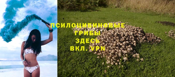 дурь Аркадак