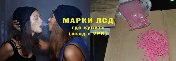 сатива Покачи